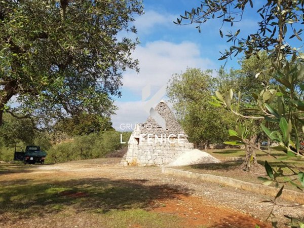 terreno agricolo in vendita a Cisternino