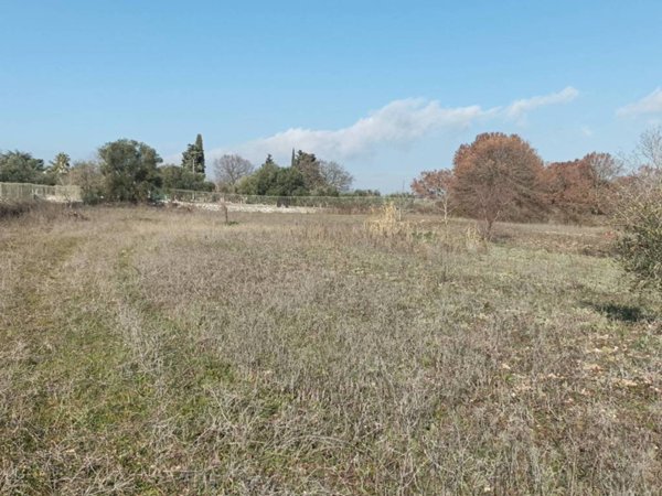 terreno agricolo in vendita a Cisternino