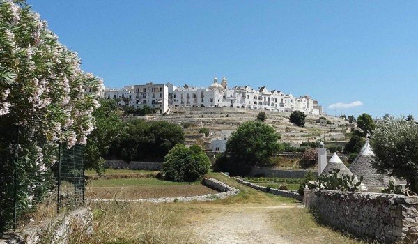 negozio in vendita a Cisternino