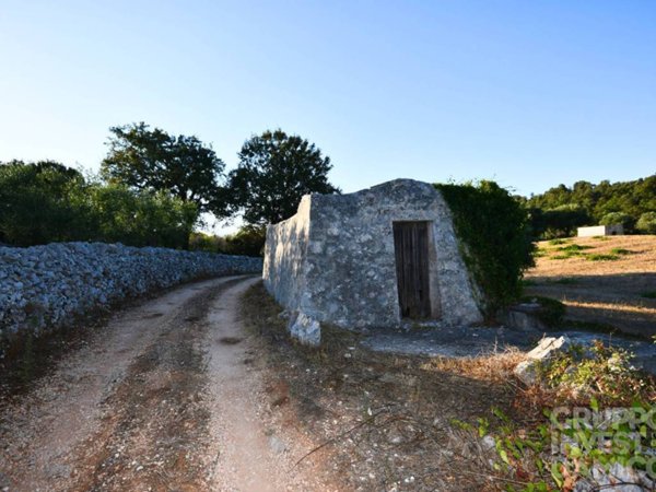 terreno agricolo in vendita a Cisternino