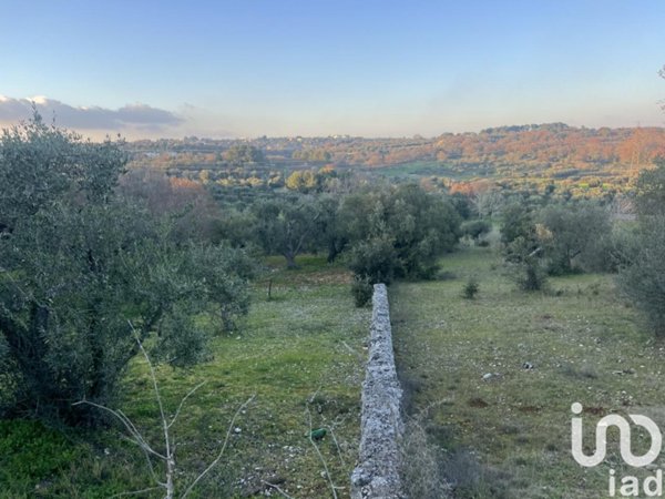 terreno agricolo in vendita a Cisternino