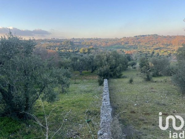 terreno agricolo in vendita a Cisternino