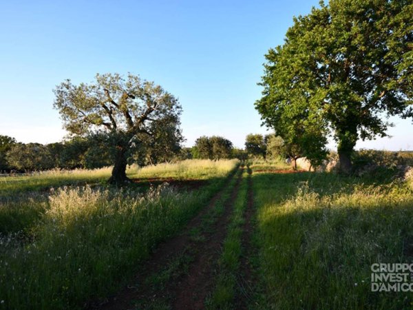 terreno agricolo in vendita a Cisternino