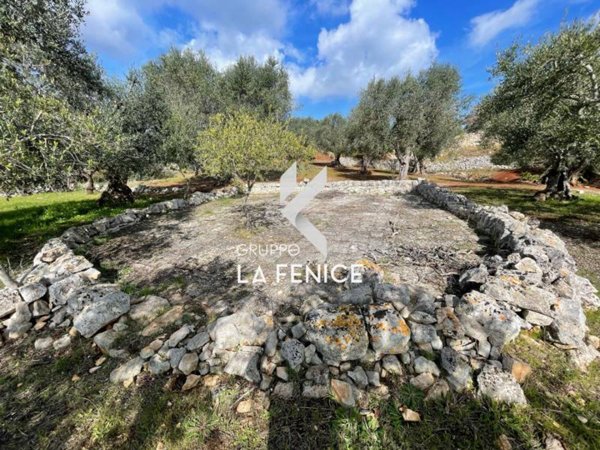 casale in vendita a Cisternino