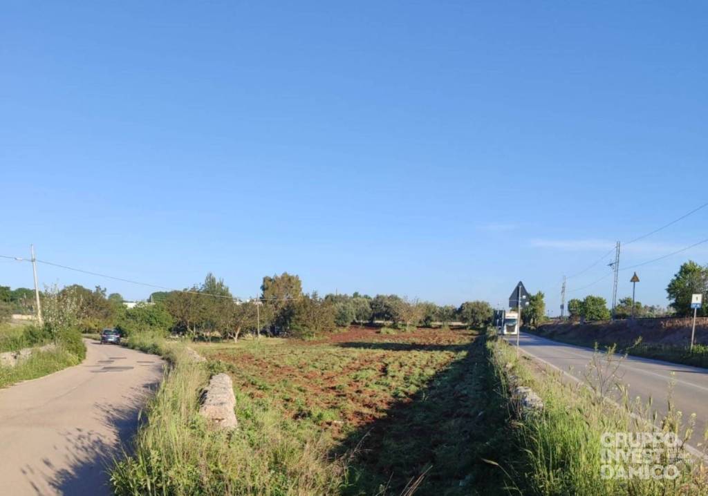 terreno agricolo in vendita a Cisternino