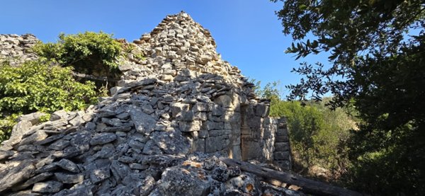 negozio in vendita a Cisternino