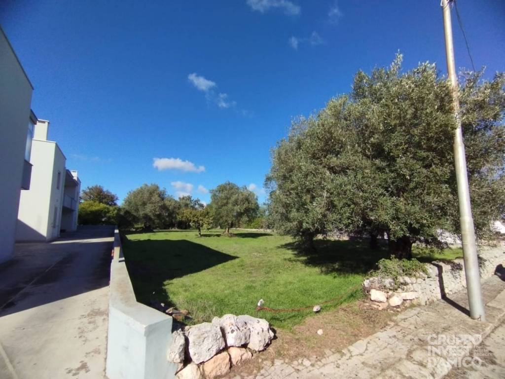 terreno agricolo in vendita a Cisternino in zona Caranna