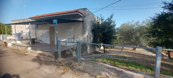 casa indipendente in vendita a Cisternino