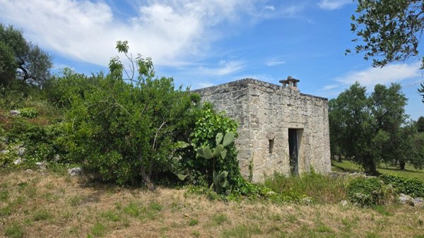 appartamento in vendita a Cisternino