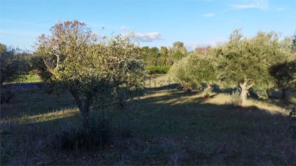 appartamento in vendita a Cisternino in zona Sisto