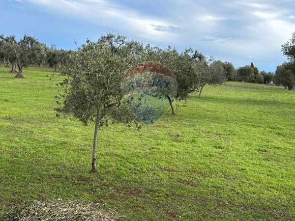 casa indipendente in vendita a Cisternino