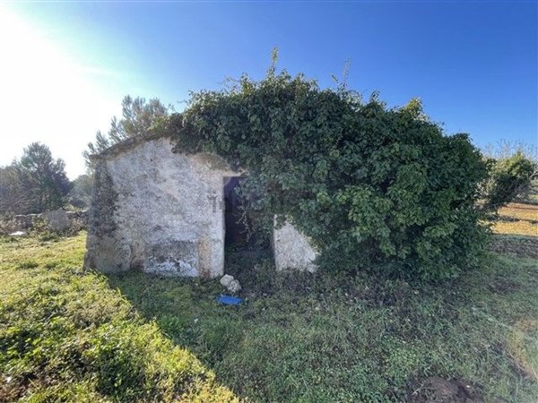 appartamento in vendita a Cisternino