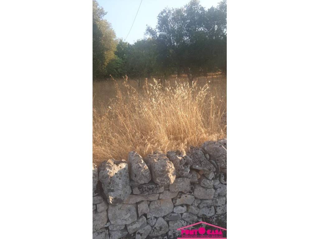 terreno agricolo in vendita a Cisternino