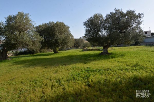 terreno edificabile in vendita a Cisternino in zona Casalini