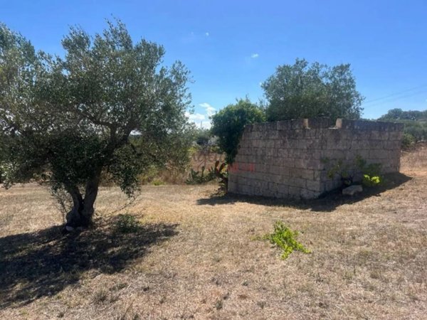 casa indipendente in vendita a Cisternino