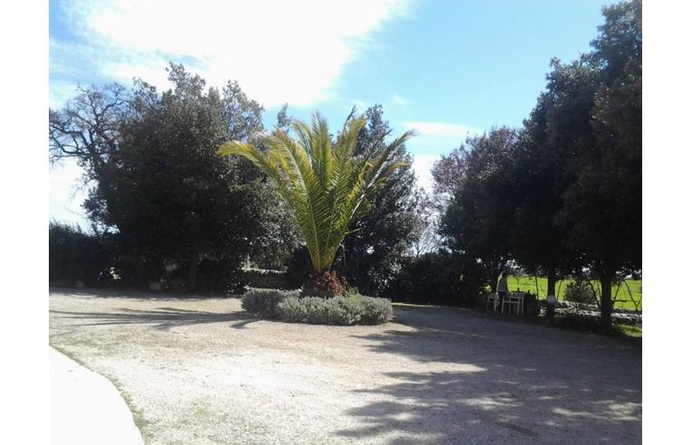 casa indipendente in vendita a Cisternino