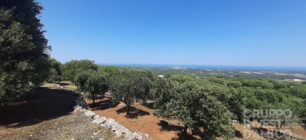 terreno agricolo in vendita a Cisternino