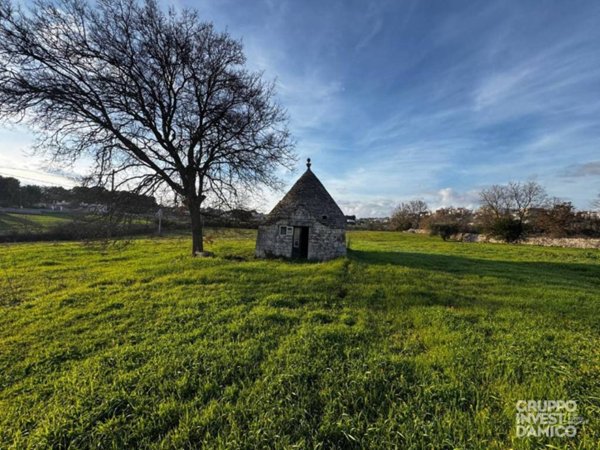 terreno agricolo in vendita a Cisternino
