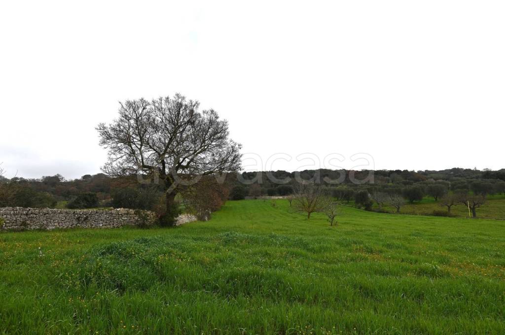 terreno agricolo in vendita a Cisternino