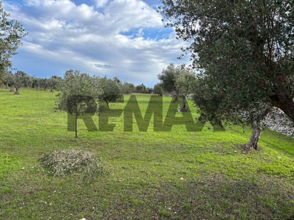 terreno agricolo in vendita a Cisternino