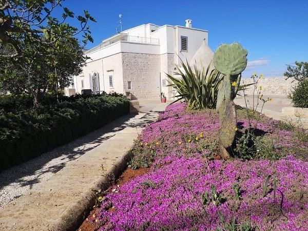 negozio in vendita a Cisternino