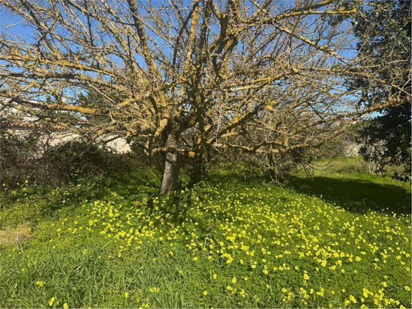 casa indipendente in vendita a Cisternino in zona Casalini
