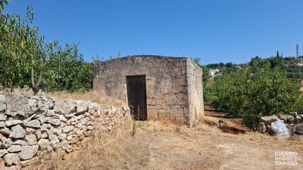 terreno agricolo in vendita a Cisternino