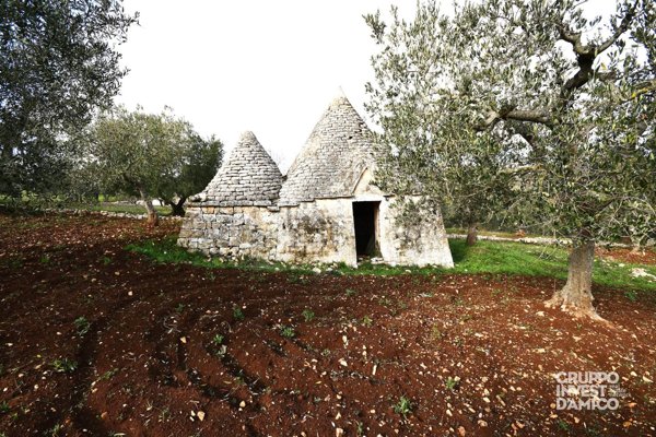 casale in vendita a Cisternino