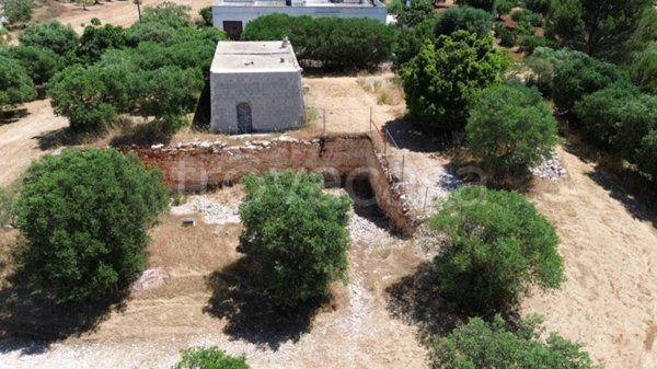 terreno agricolo in vendita a Cisternino