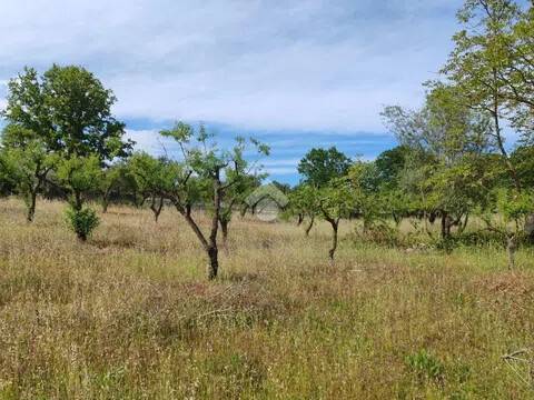 terreno in vendita a Cisternino in zona Sisto
