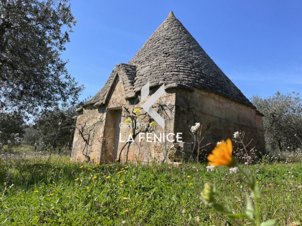 trullo in vendita a Cisternino in zona Caranna
