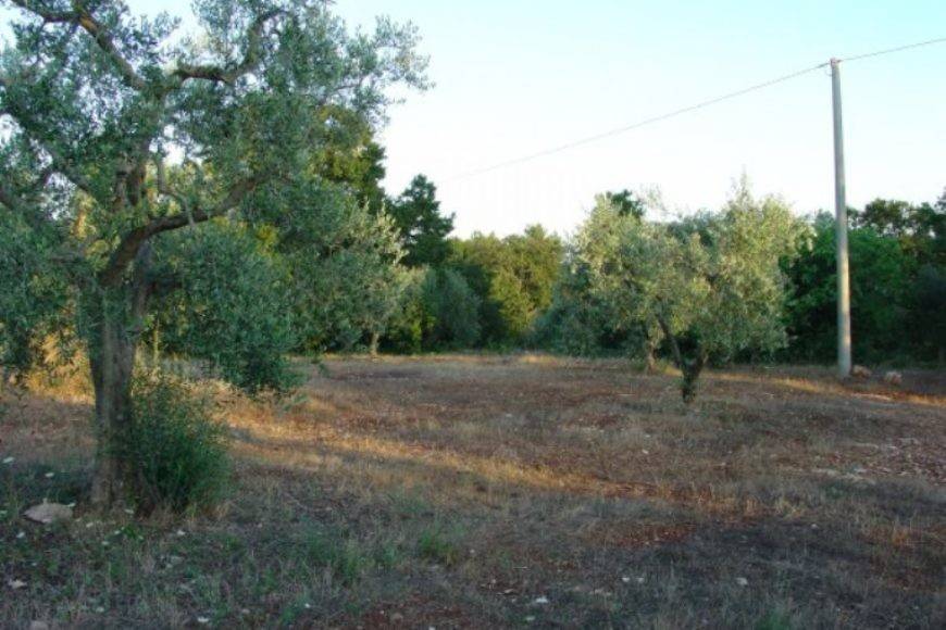 terreno in vendita a Cisternino