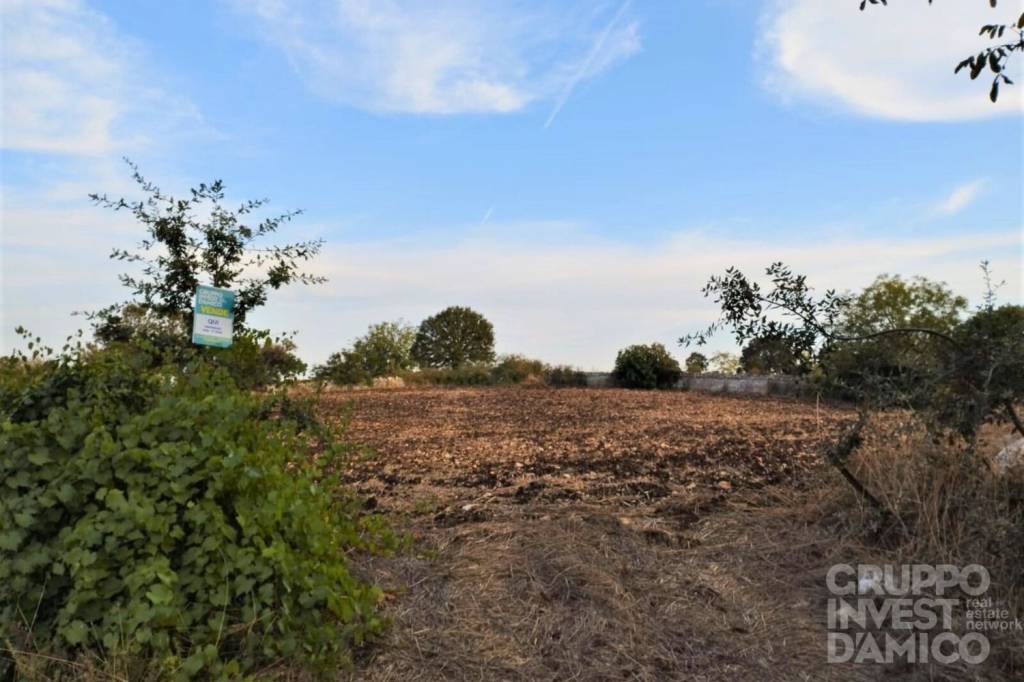 terreno in vendita a Cisternino
