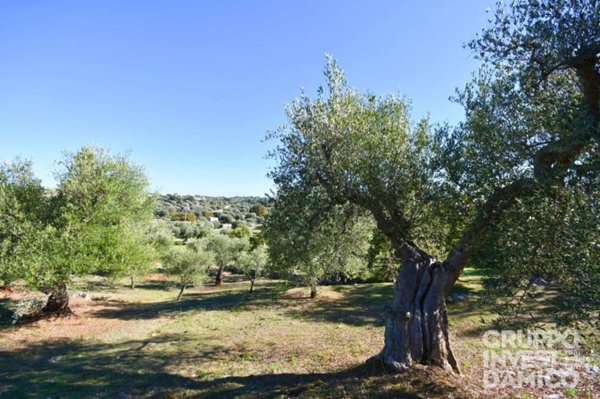 terreno in vendita a Cisternino