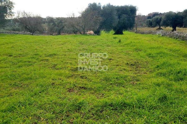 terreno in vendita a Cisternino