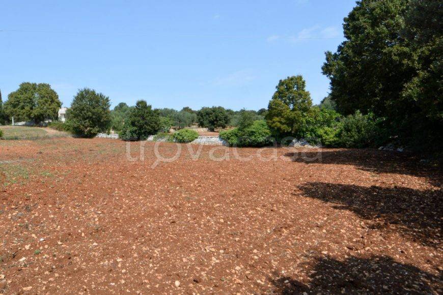 terreno in vendita a Cisternino in zona Caranna