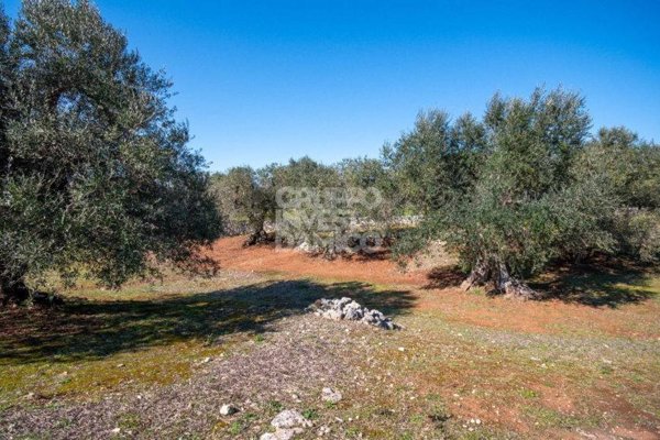 terreno in vendita a Cisternino in zona Caranna