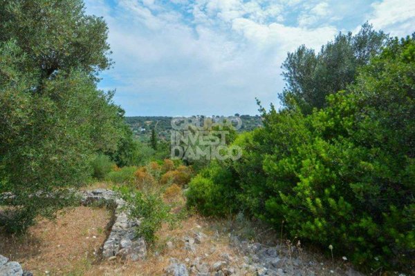 terreno in vendita a Cisternino