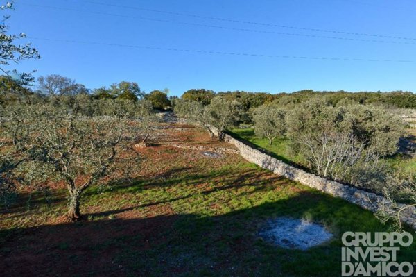 terreno in vendita a Cisternino in zona Caranna