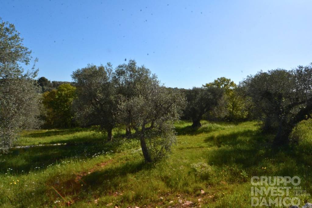 terreno in vendita a Cisternino