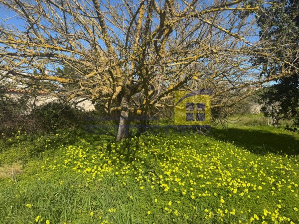 casa indipendente in vendita a Cisternino in zona Casalini