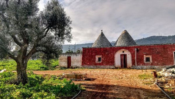 quadrivano in vendita a Fasano