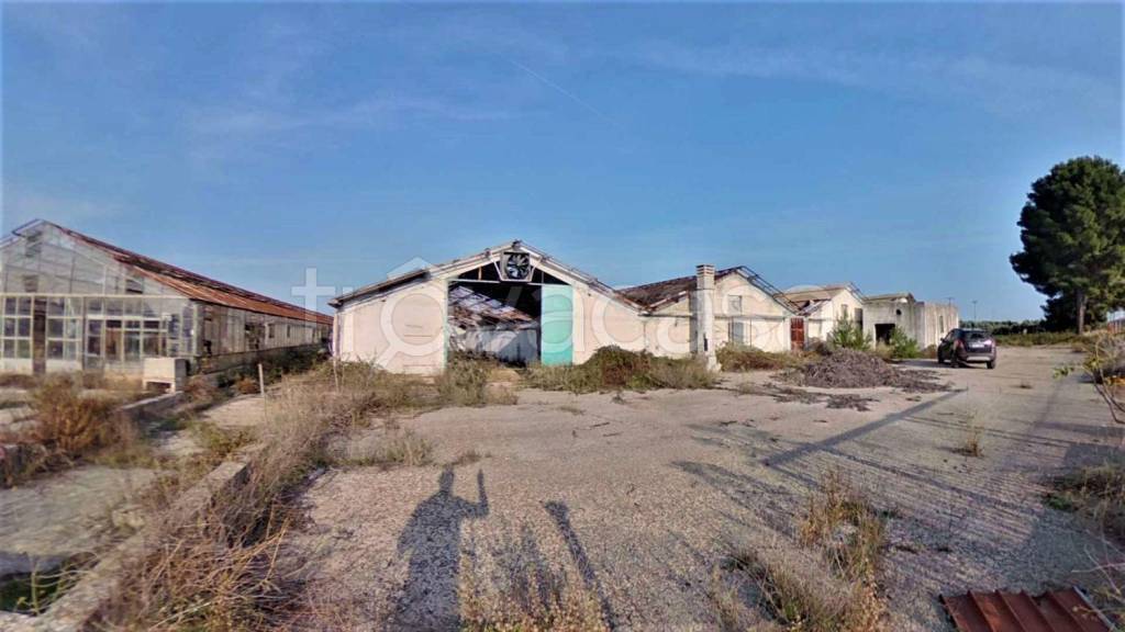 azienda agricola in vendita a Fasano