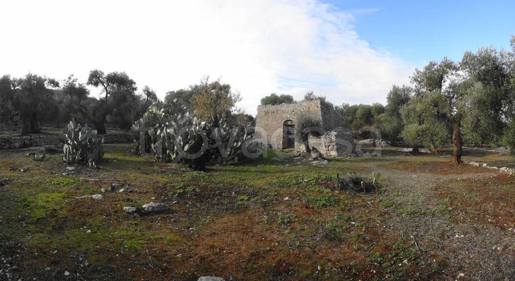 casa indipendente in vendita a Fasano