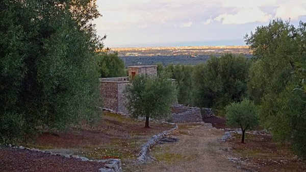 casa indipendente in vendita a Fasano