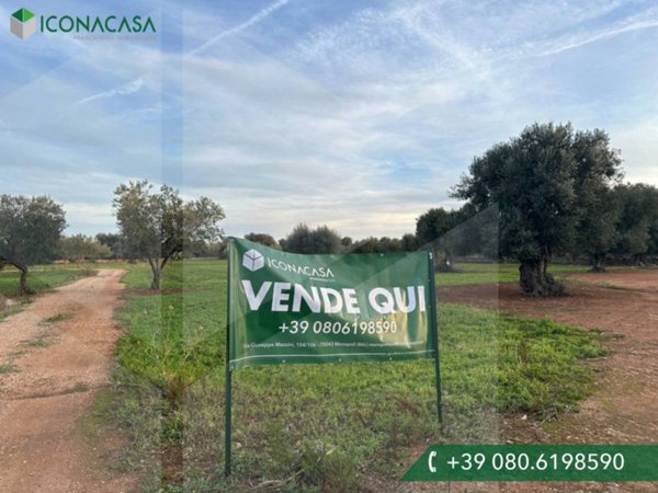 terreno edificabile in vendita a Fasano