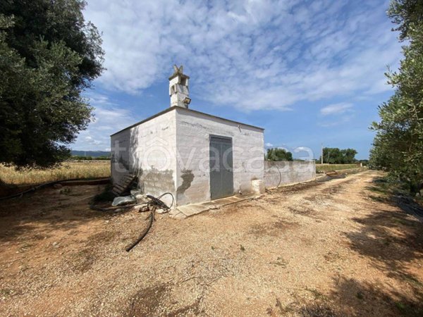 terreno agricolo in vendita a Fasano in zona Savelletri