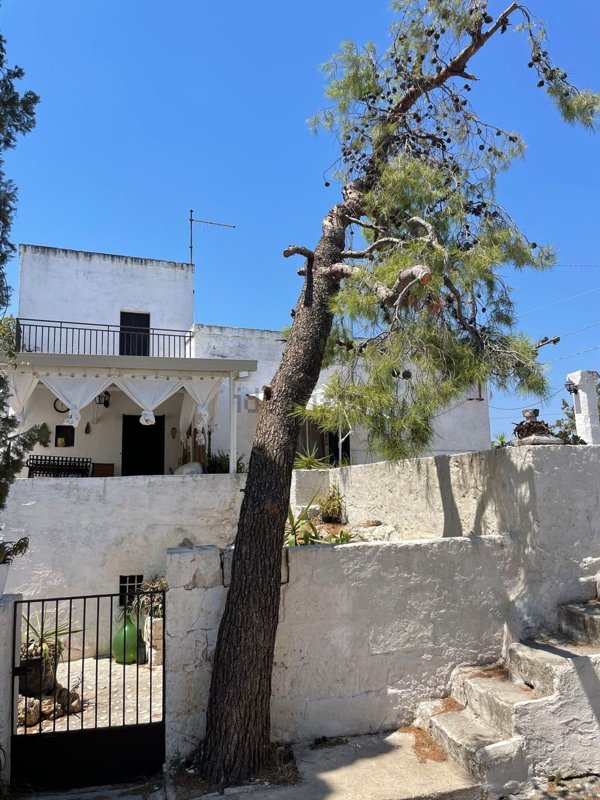 casa indipendente in vendita a Fasano in zona Savelletri