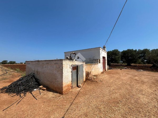 terreno agricolo in vendita a Fasano