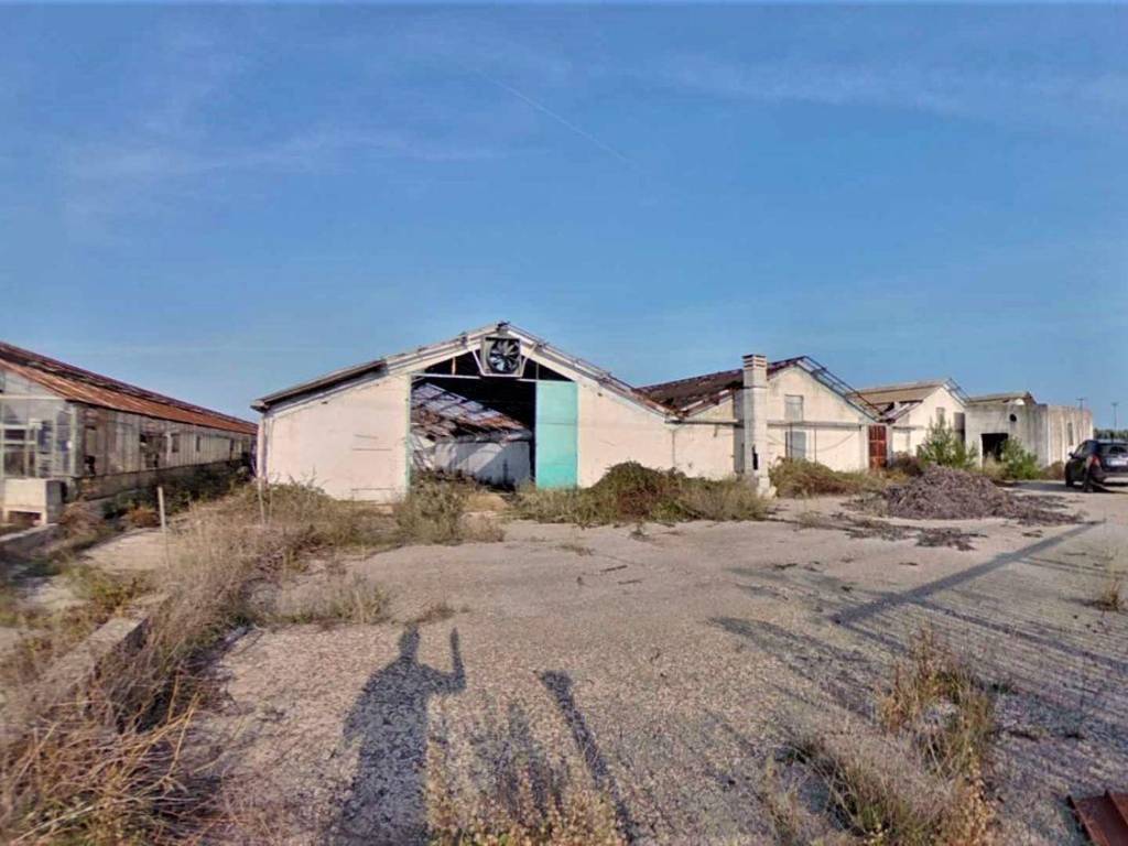 terreno agricolo in vendita a Fasano in zona Savelletri